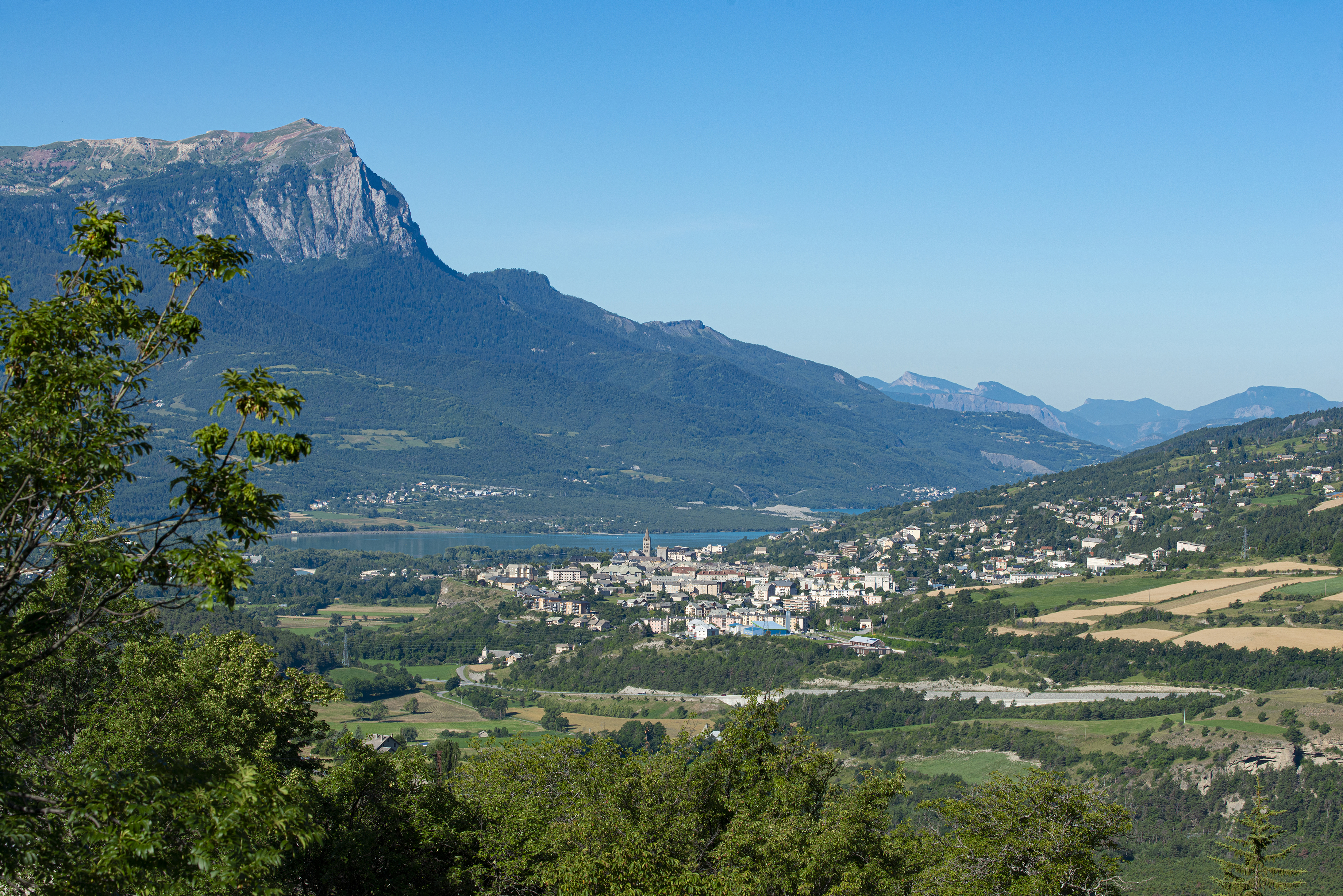 ©Le Naturographe ©Le Naturographe