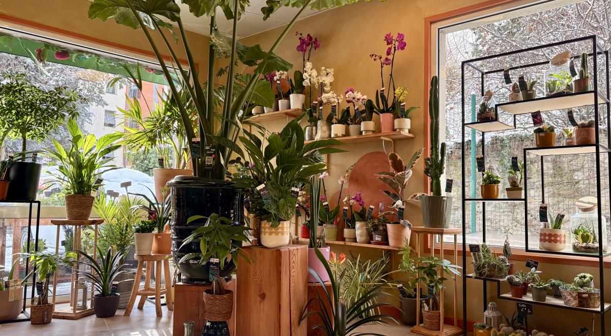 Le Monde des Fleurs_Embrun - Le Monde des Fleurs_Embrun