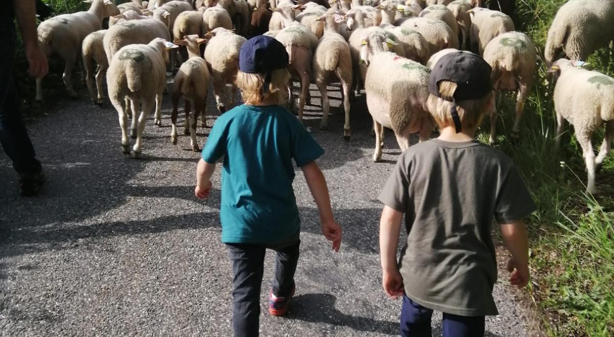 Image - Propulsez-vous