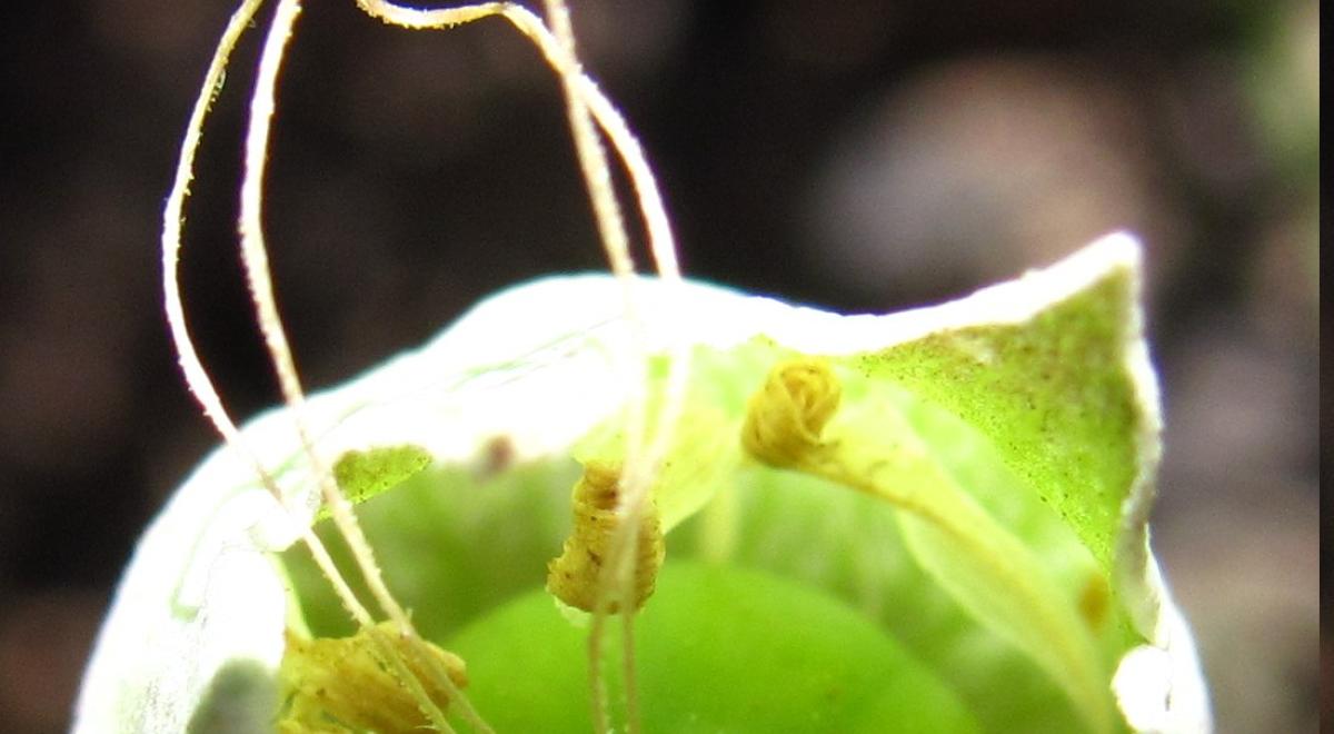 Séance danse spontanée - Séance danse spontanée