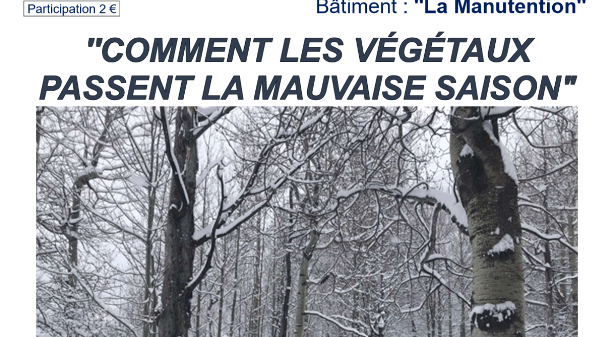 Conférence &quot;Comment les végétaux passent la mauvaise saison&quot; EMBRUN - Conférence &quot;Comment les végétaux passent la mauvaise saison&quot; EMBRUN