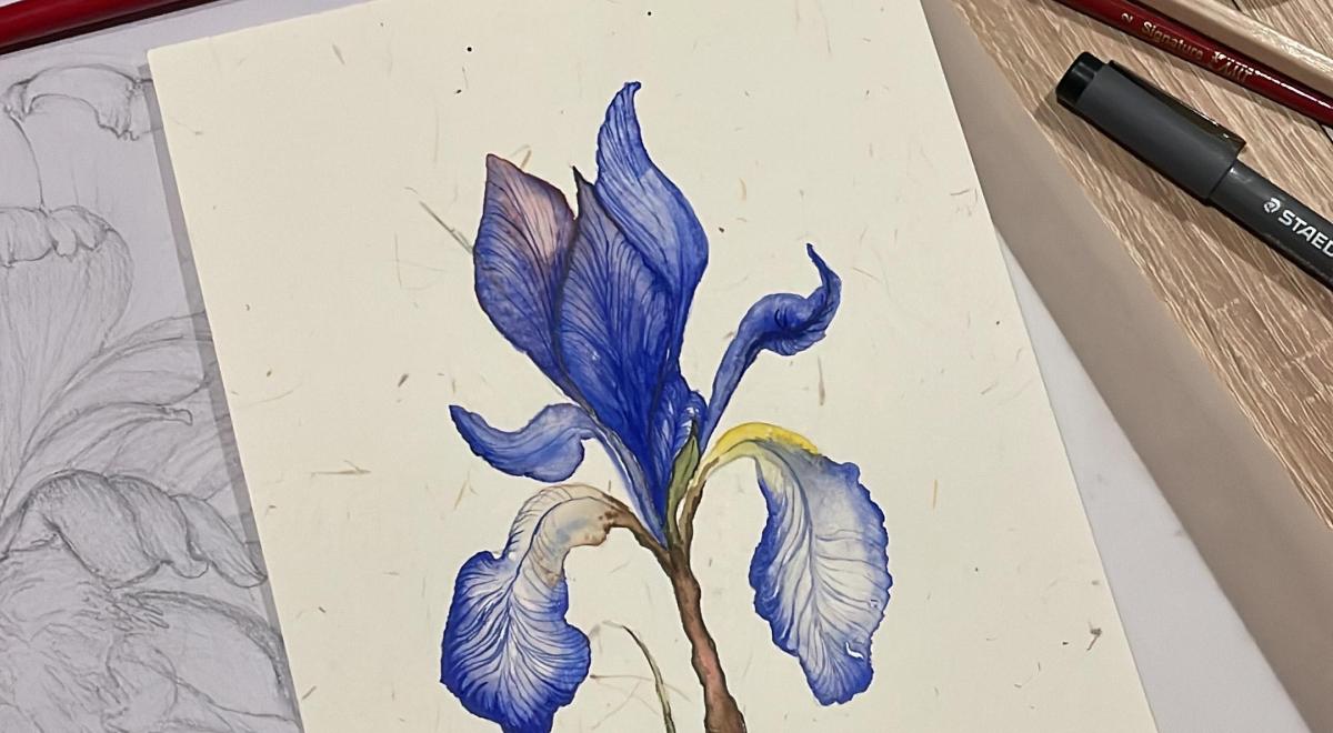 atelier aquarelle libre EMB - atelier aquarelle libre EMB