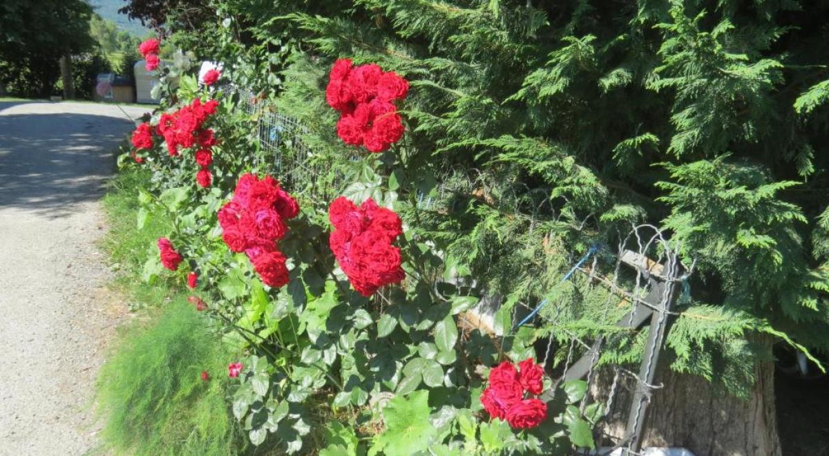 Camping La Tour EMBRUN - Camping La Tour EMBRUN