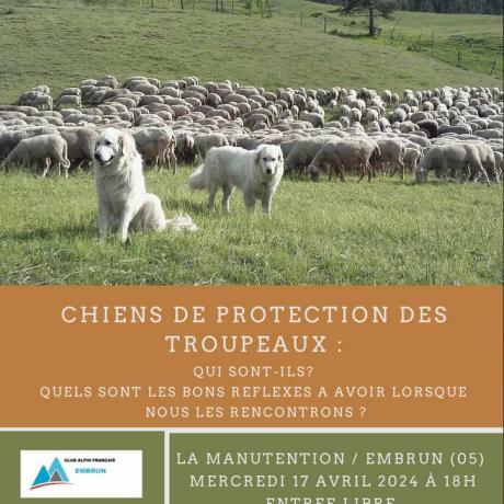 Conférence chiens de protection des troupeaux EMBRUN - Conférence chiens de protection des troupeaux EMBRUN
