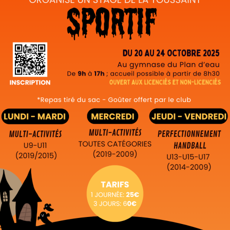 Stage Sportif HBCE