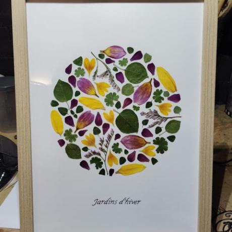 atelier création d'herbier EMBRUN - atelier création d'herbier EMBRUN