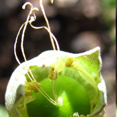 Séance danse spontanée - Séance danse spontanée