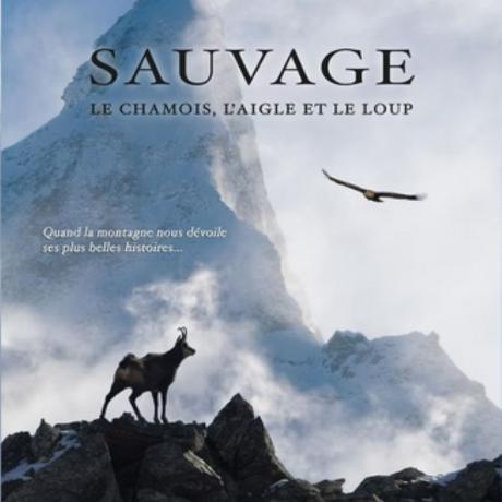 {103225C4-EFCC-4D45-8F83-E3653F4E5A74} - Affiche "Sauvage"