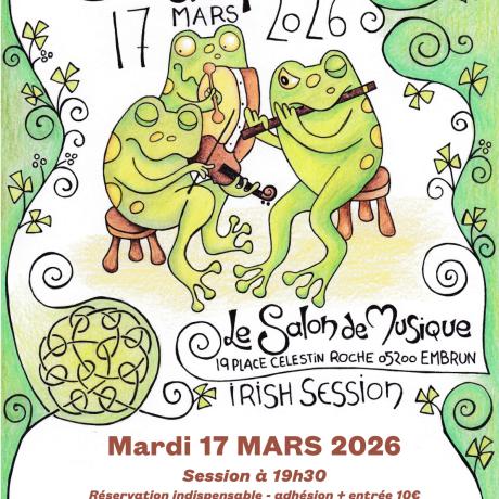 Fête de la Saint Patrick -1er anniversaire du Salon de Musique - Fête de la Saint Patrick -1er anniversaire du Salon de Musique © improduction