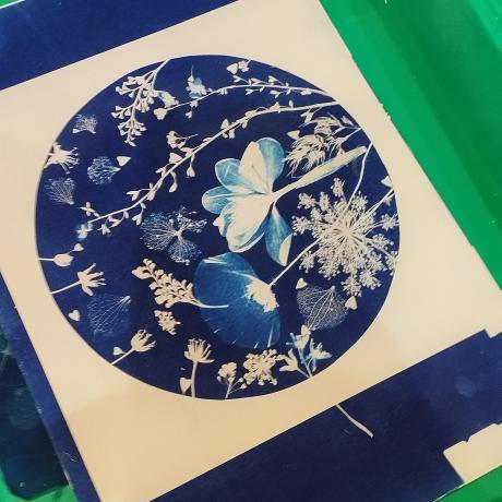 atelier cyanotipe EMB - atelier cyanotipe EMB