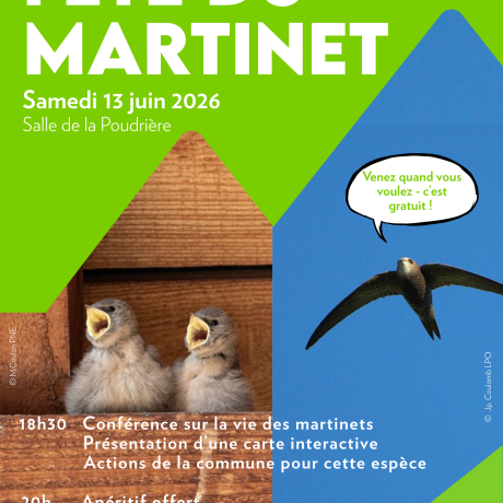 Fête du Martinet_Embrun - Fête du Martinet_Embrun