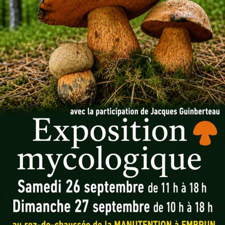 expo mycologique embrun - expo mycologique embrun