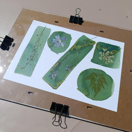 Atelier cyanotype 