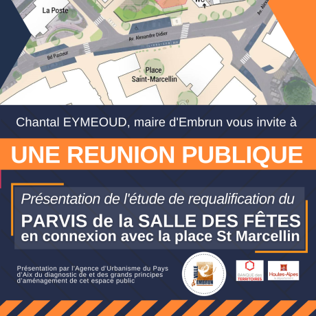 Affiche reunion PARVIS SALLE DES FETES.png