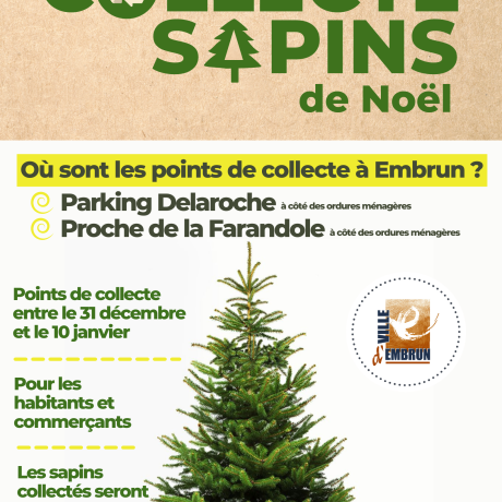 Affiche collecte des sapins Affiche collecte des sapins