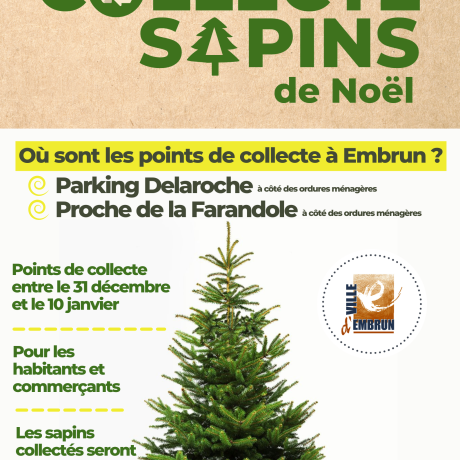 Affiche collecte des sapins