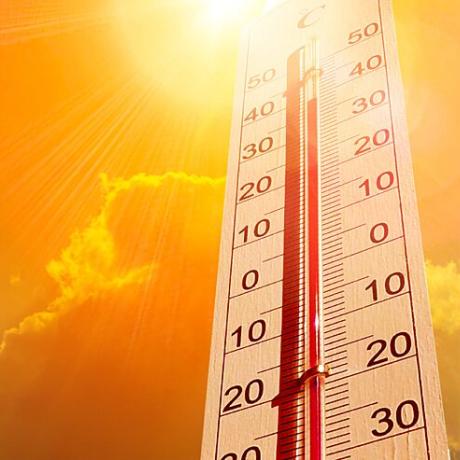 canicule (1).jpg
