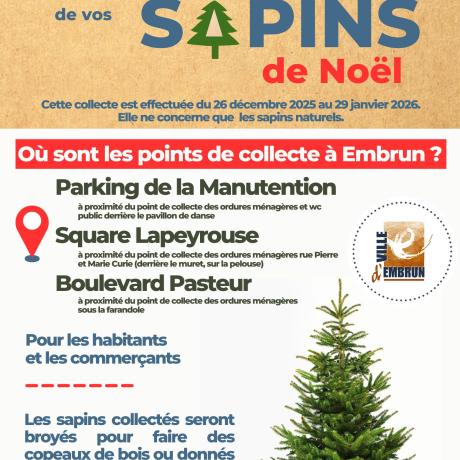 Collecte Sapins de Noël 2025