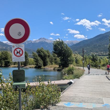 Chiens au plan d'eau