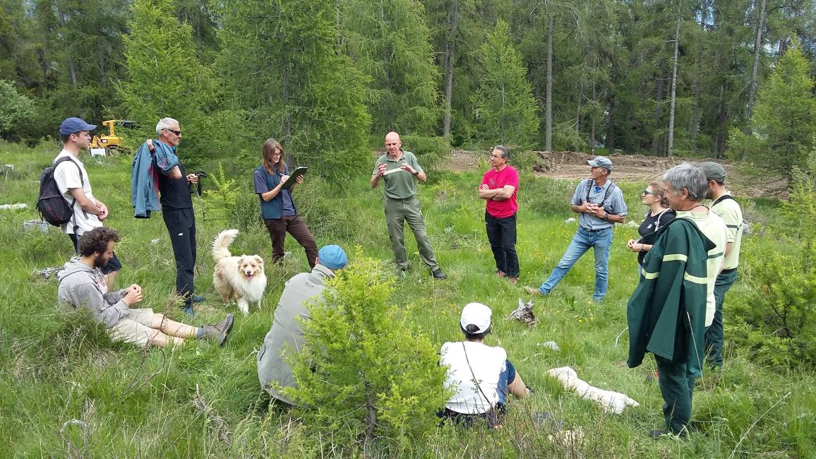 Sortie forêt Sortie forêt
