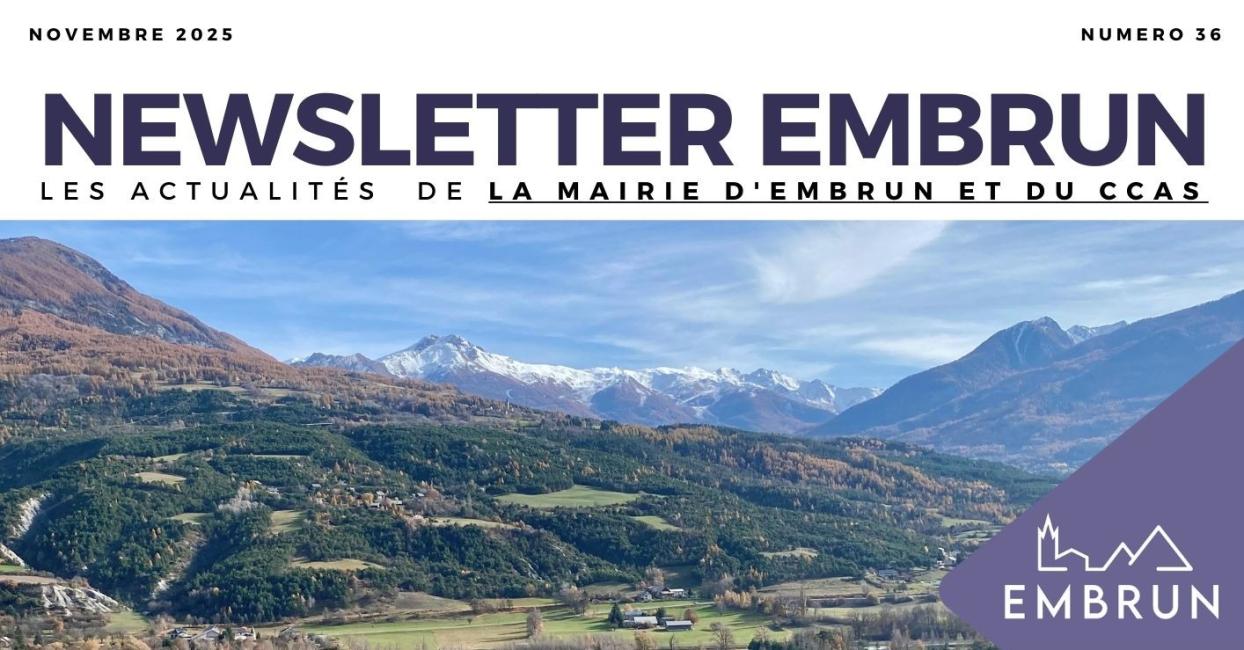 NEWSLETTER NOVEMBRE 2025