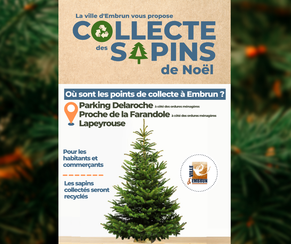 Collecte de sapins de Noël