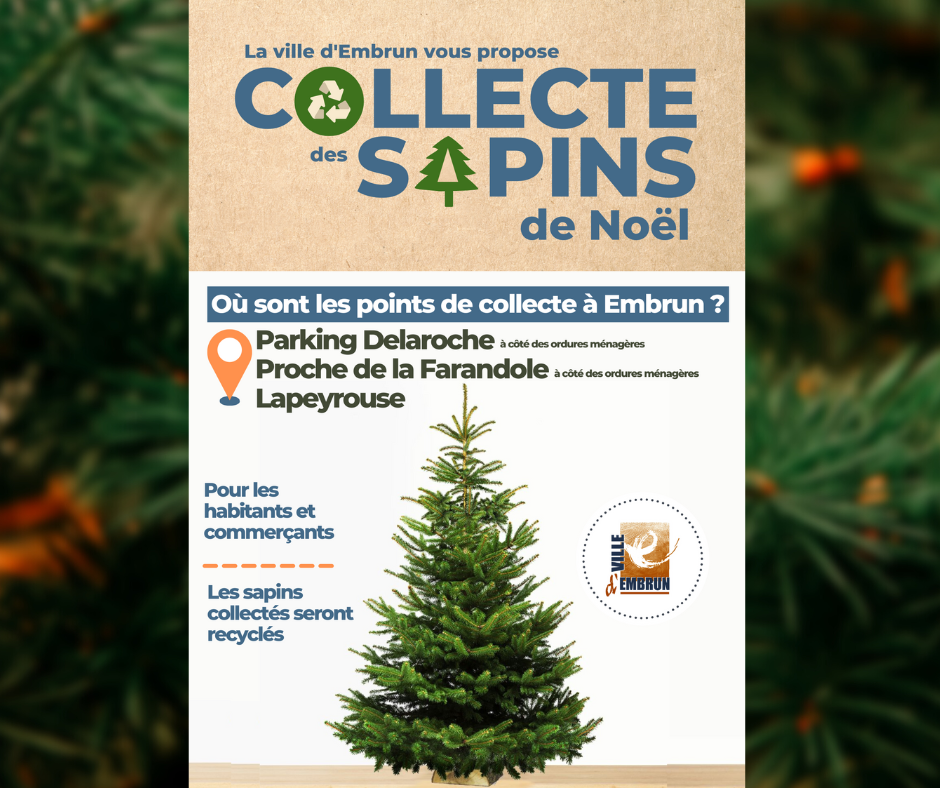 Ramassage gratuit des sapins de Noël