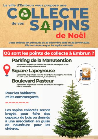 Collecte Sapins de Noël 2025