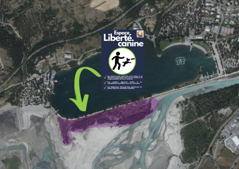 plan espace liberté canine.png